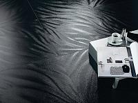 Reflection, Elios Reflection, Elios